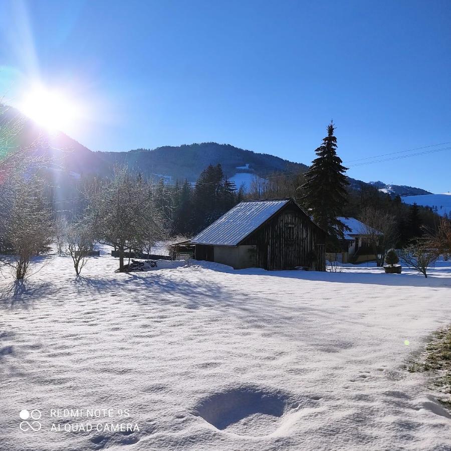 Gite Vallee Verte Burdignin Luaran gambar