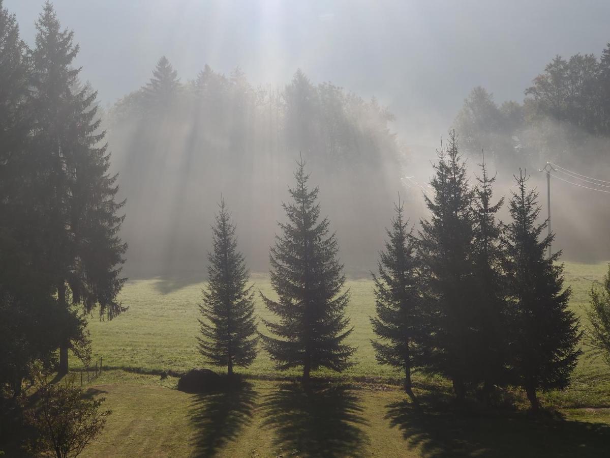 Gite Vallee Verte Burdignin Luaran gambar
