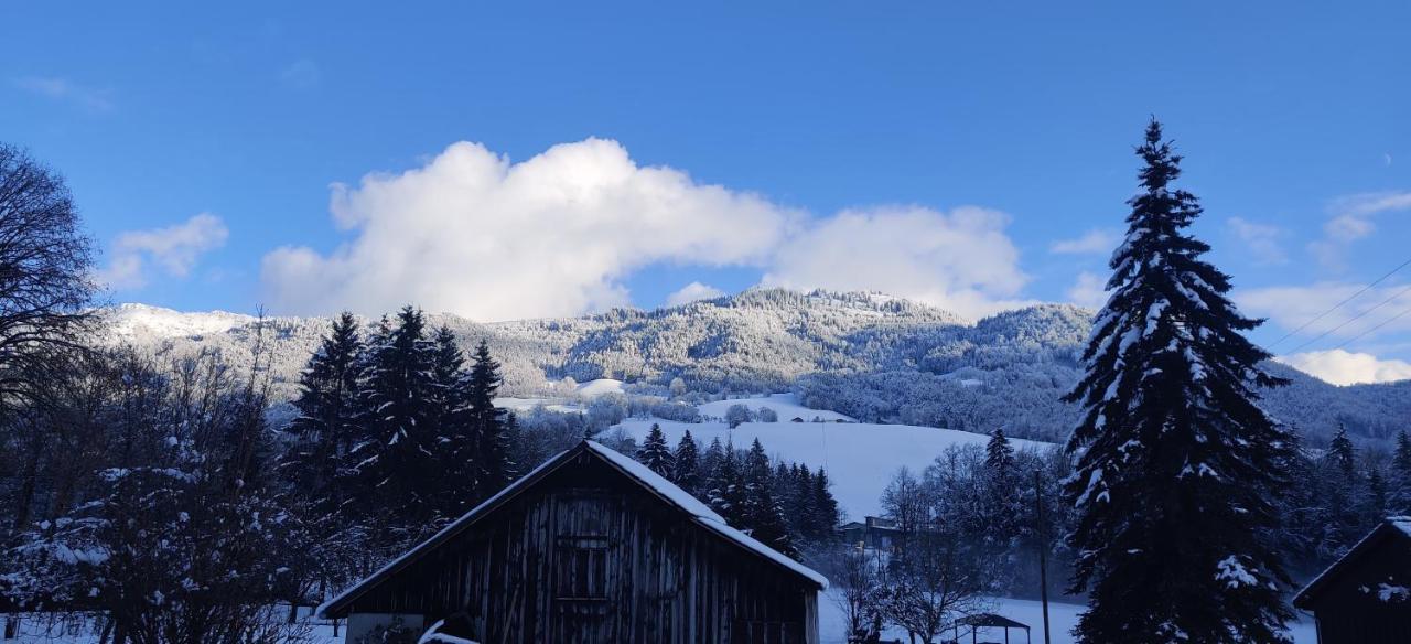 Gite Vallee Verte Burdignin Luaran gambar
